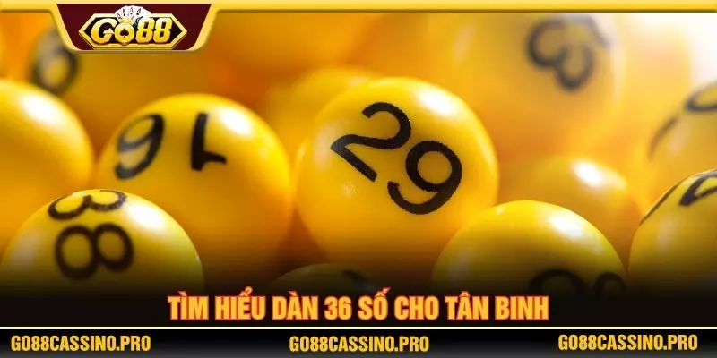 Tìm hiểu dàn 36 số cho tân binh