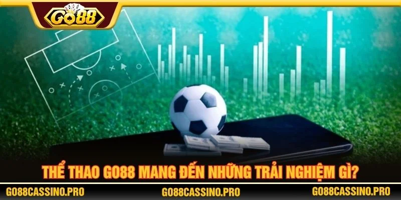 Sảnh thể thao cập nhật nhiều sự kiện hấp dẫn